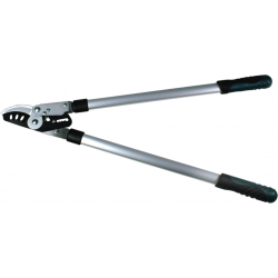 TAGLIARAMI PAPILLON TG PASSANTE CRICCO