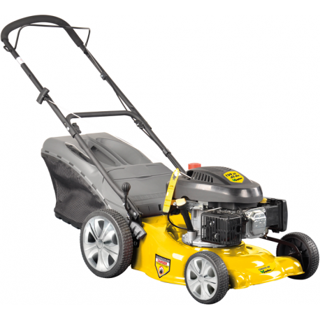 RASAERBA SCOPPIO GREEN 40 PAPILLON 4,5HP-46CM