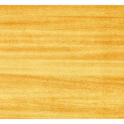 PLASTICA ADESIVA FRIEDOLA 55206 LEGNO FAGGIO