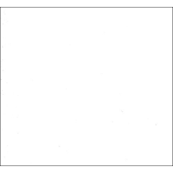 PLASTICA ADES BIANCO LUCIDO 55020